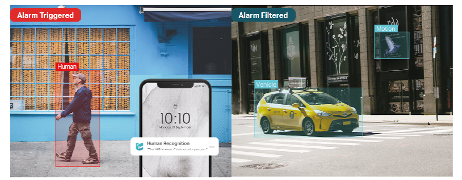 Human Classification