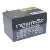 NEWMAX PNB12120 Batteria 12V 12Ah Long Life
